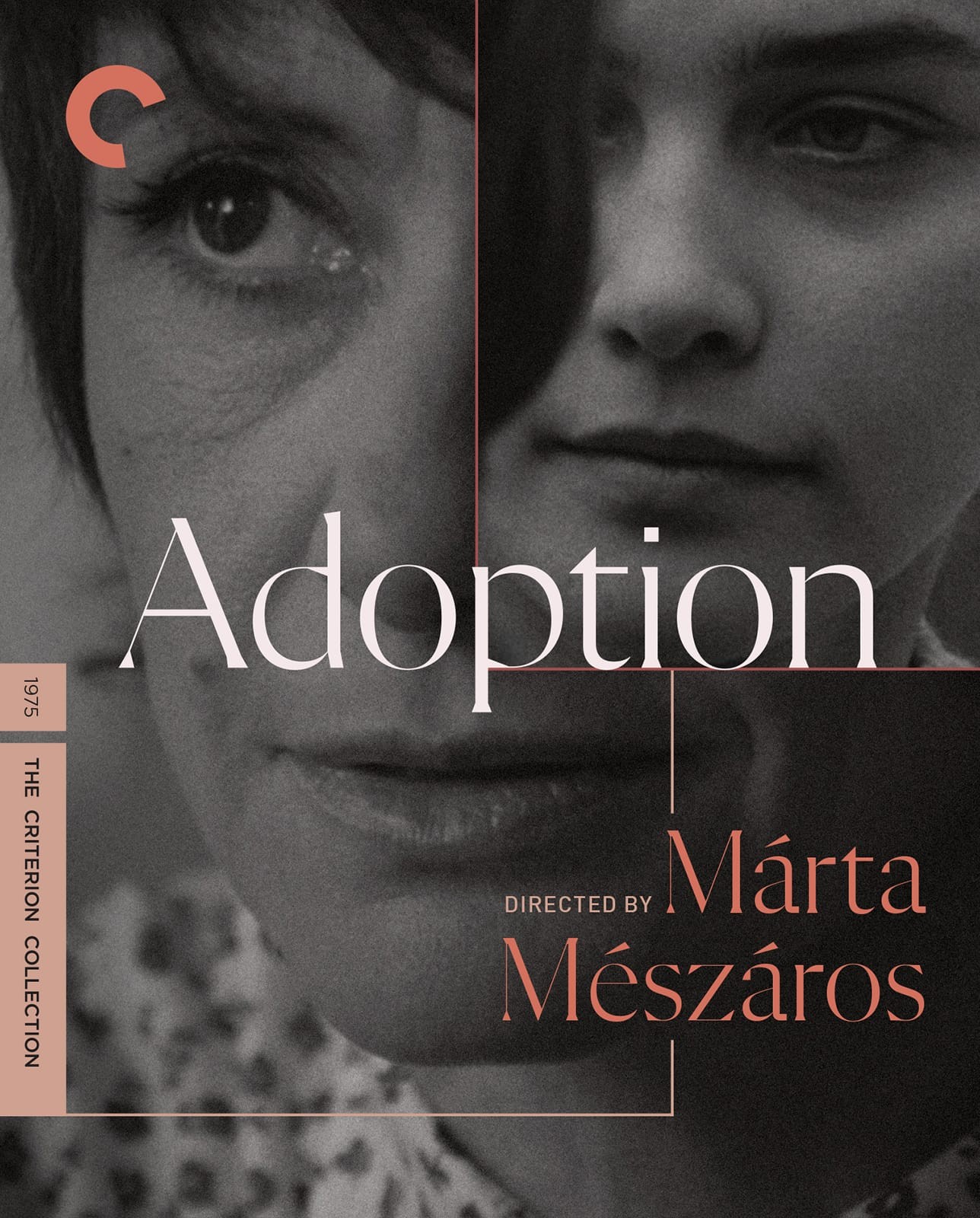 Carátula de Adoption