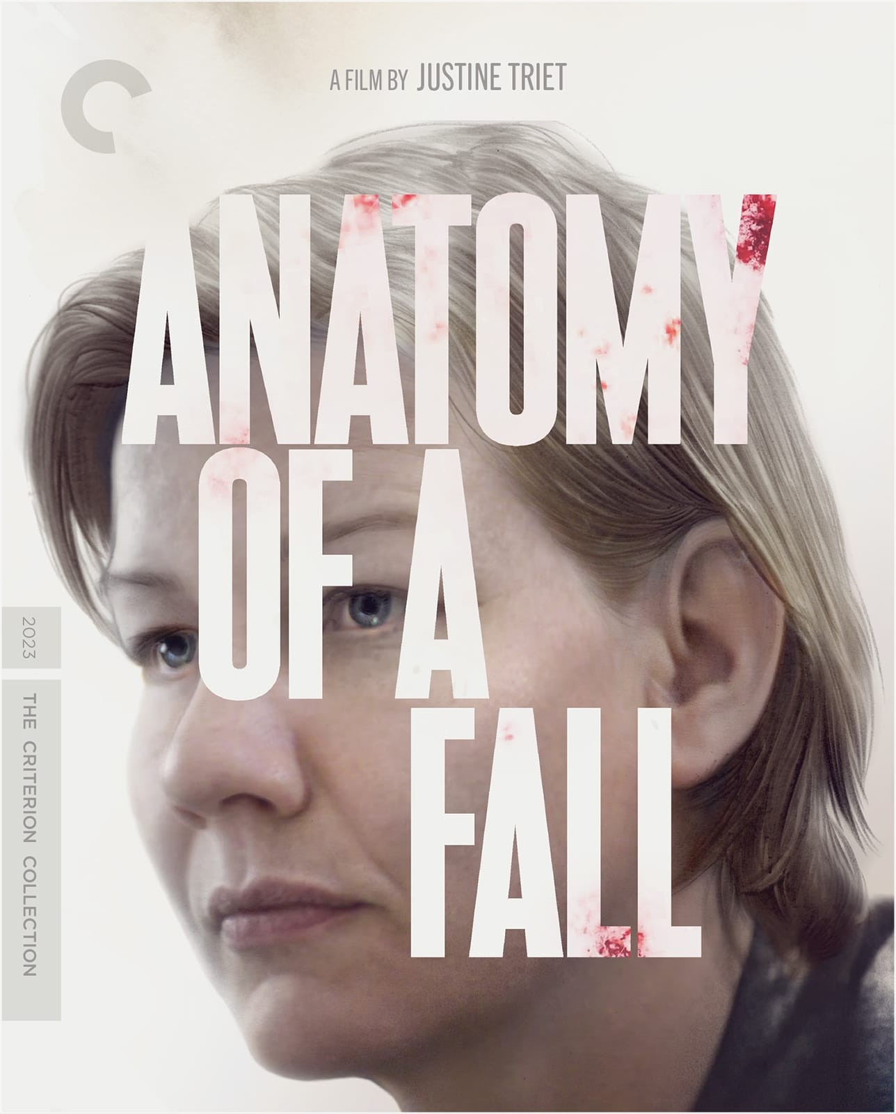 Carátula de Anatomy of a Fall