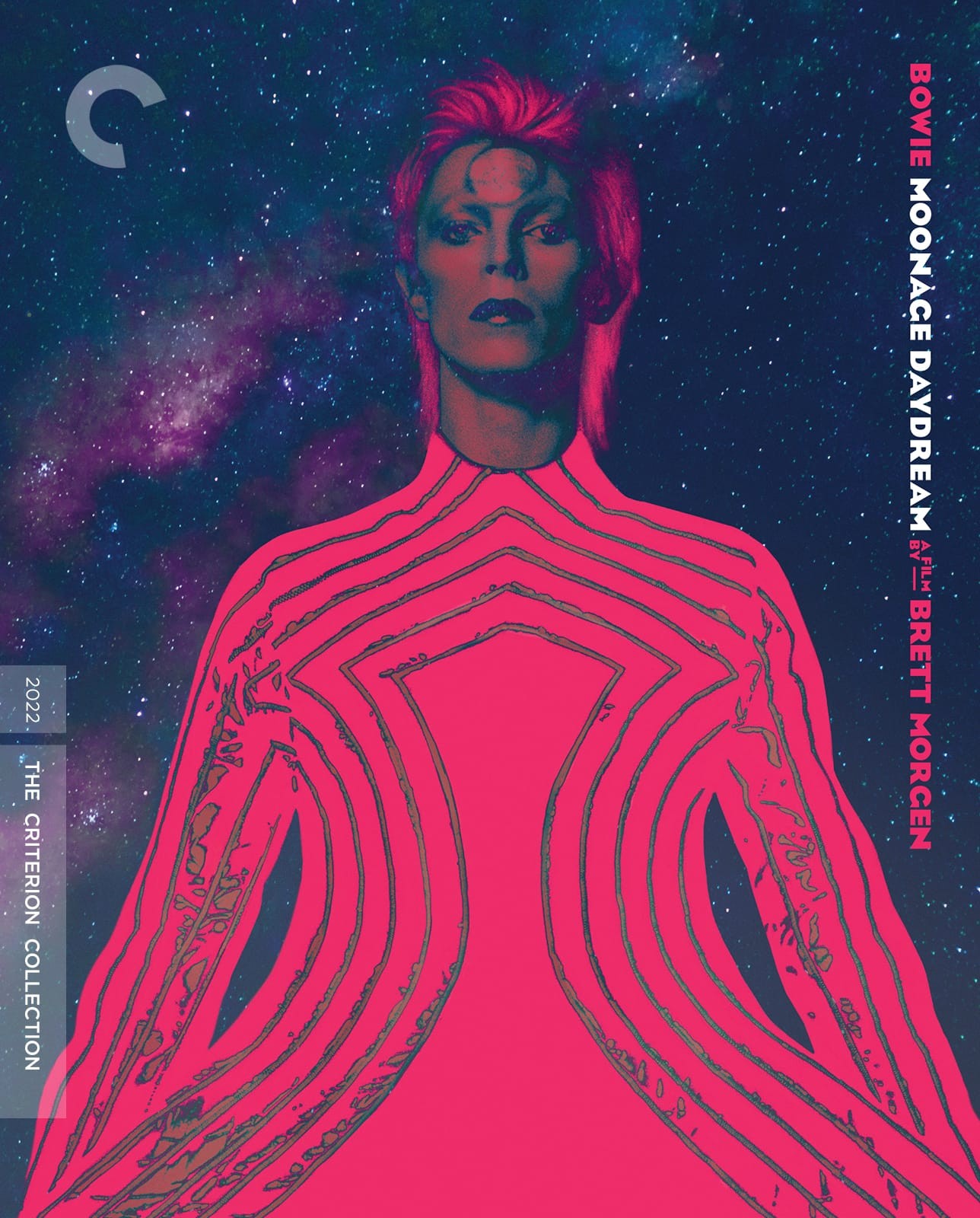 Carátula de Moonage Daydream