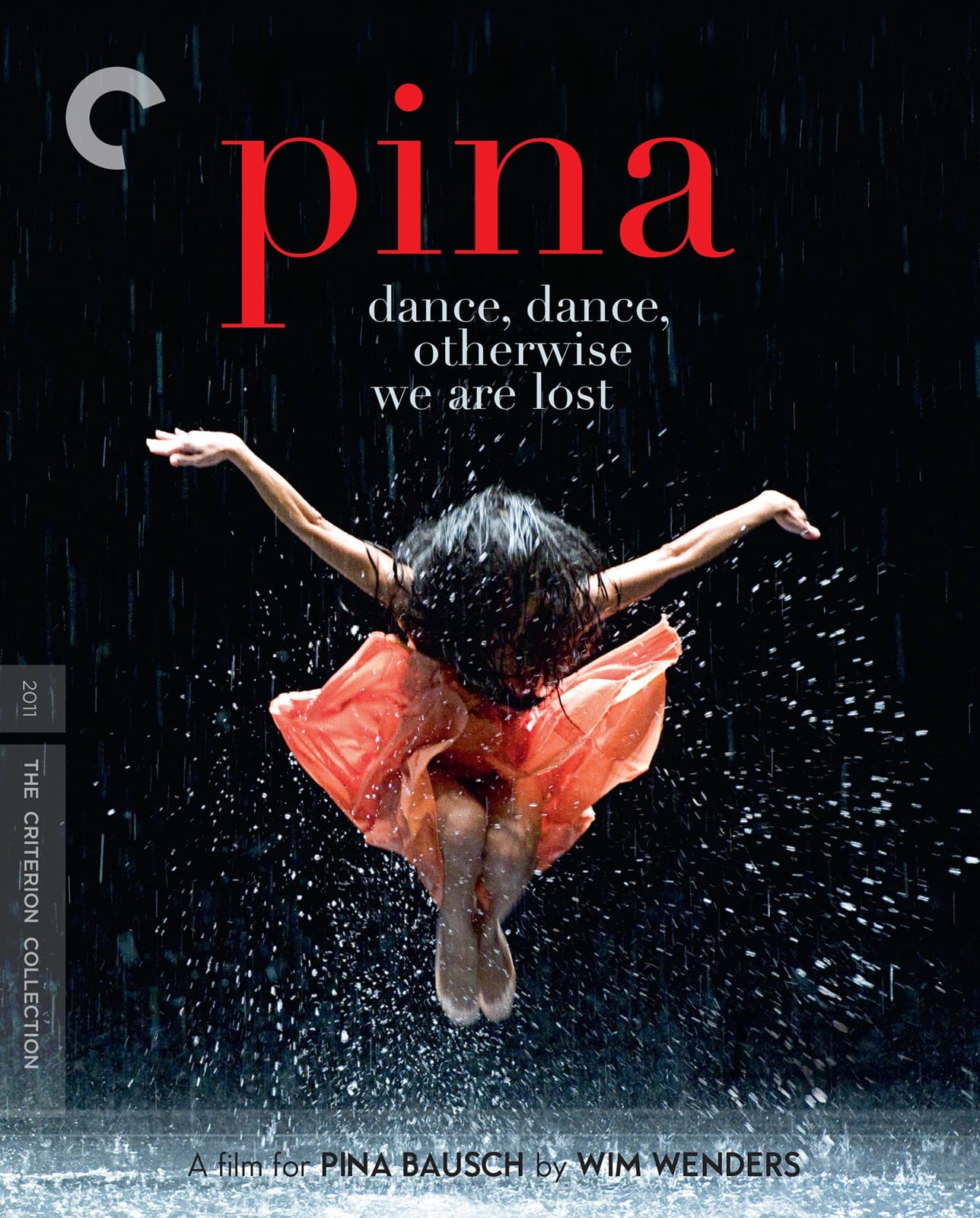 Carátula de Pina