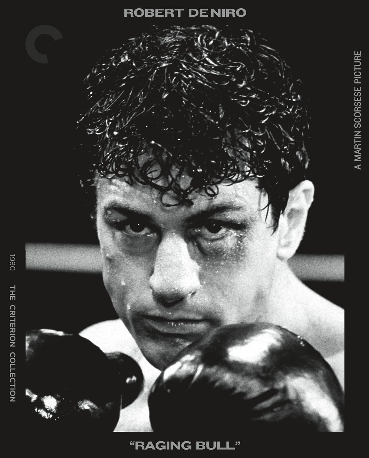 Carátula de Raging Bull