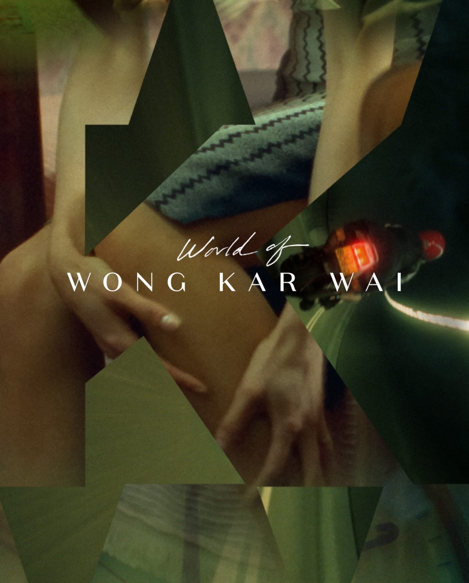 Carátula de World of Wong Kar Wai